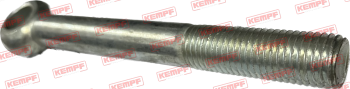 Preview: 24434 Augenschraube M16x150